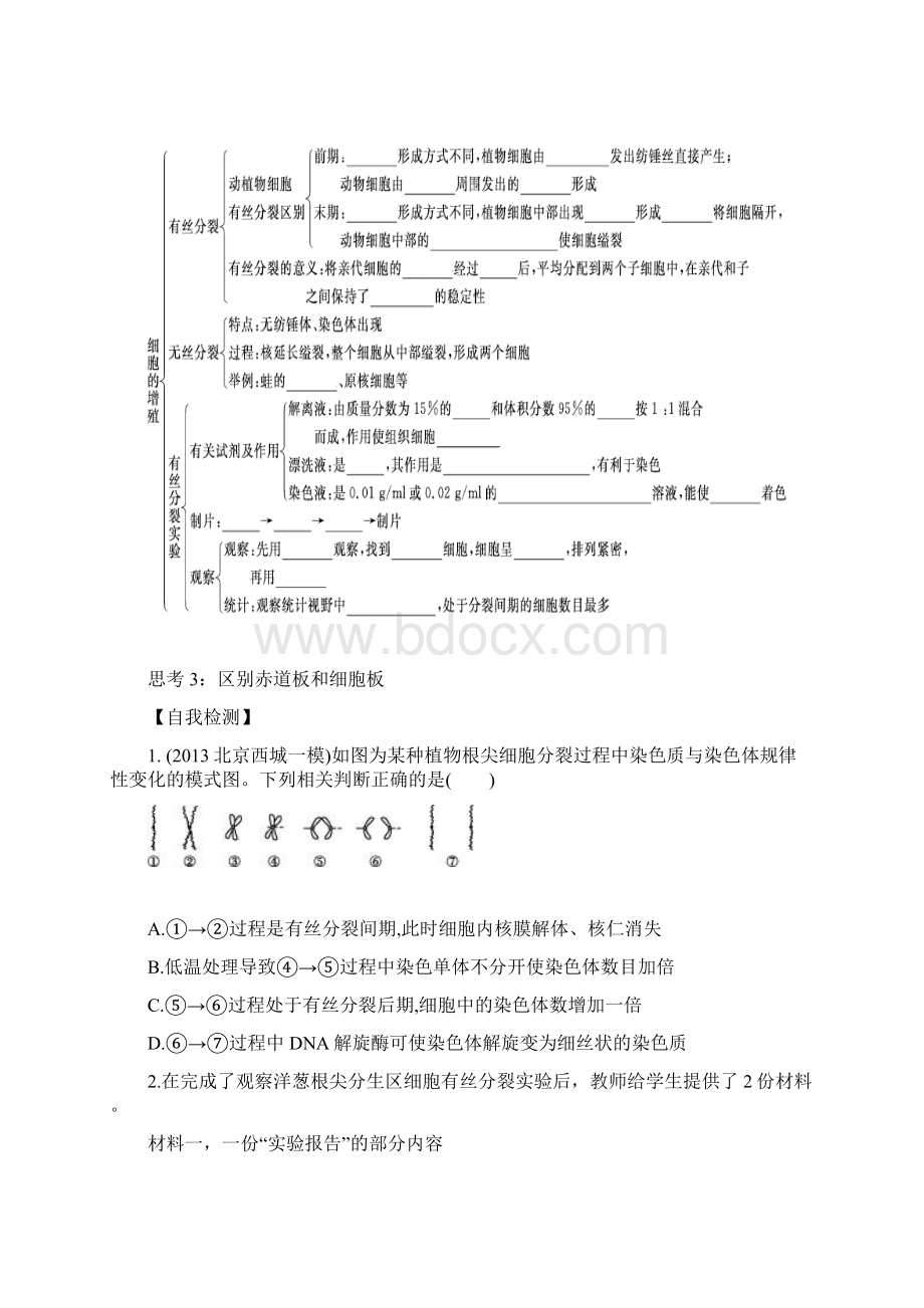 导与练福建省长泰县第二中学高考生物总复习 第11讲 细胞的增殖学案 新人教版必修1Word文档格式.docx_第2页