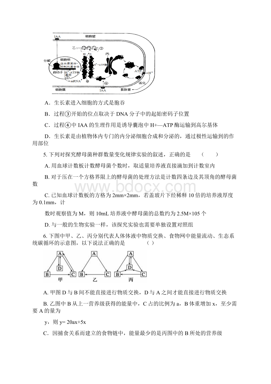 安徽省届高三仿真二理综生物试题.docx_第3页