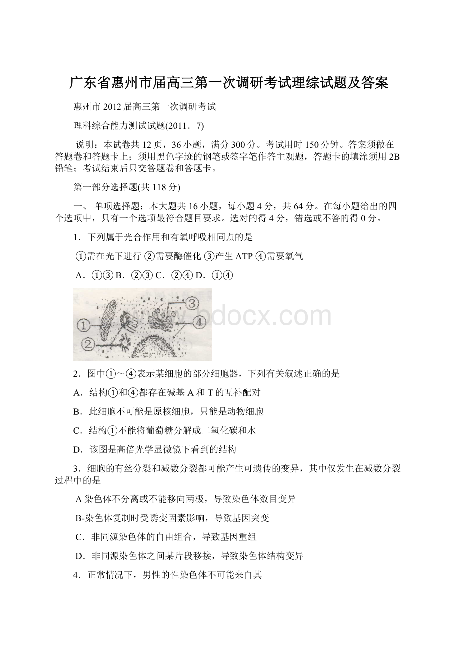 广东省惠州市届高三第一次调研考试理综试题及答案.docx_第1页