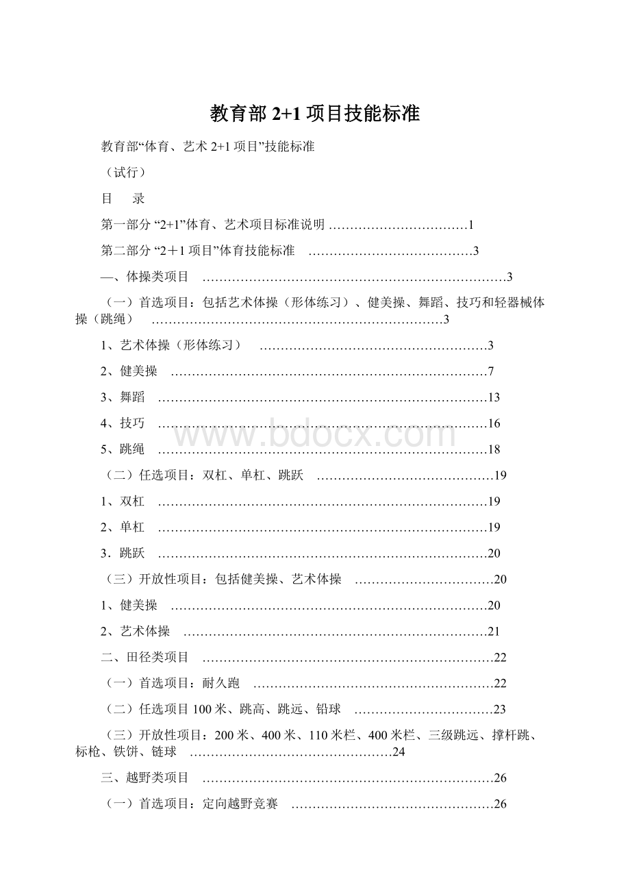 教育部2+1项目技能标准.docx_第1页