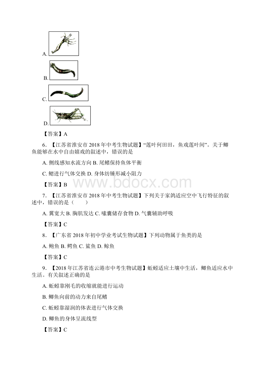 中考生物知识分类练习卷生物圈中的其他生物.docx_第2页