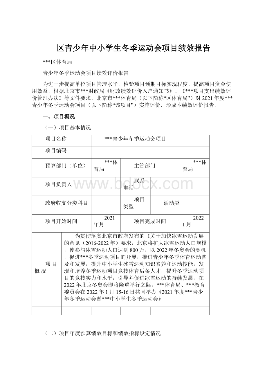 区青少年中小学生冬季运动会项目绩效报告.docx_第1页