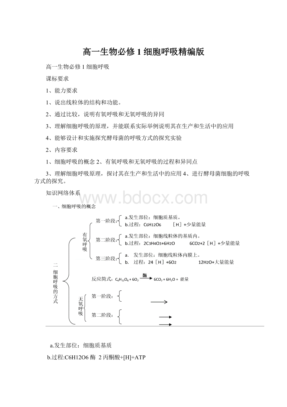 高一生物必修1 细胞呼吸精编版Word文档格式.docx