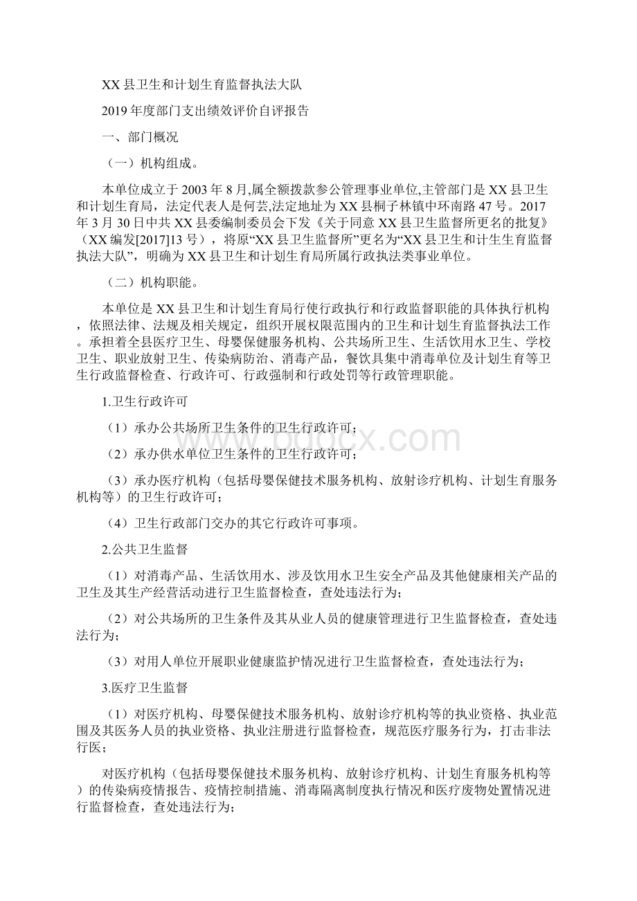 县卫生和计划生育监督执法大队度部门支出绩效评价自评报告模板.docx_第2页