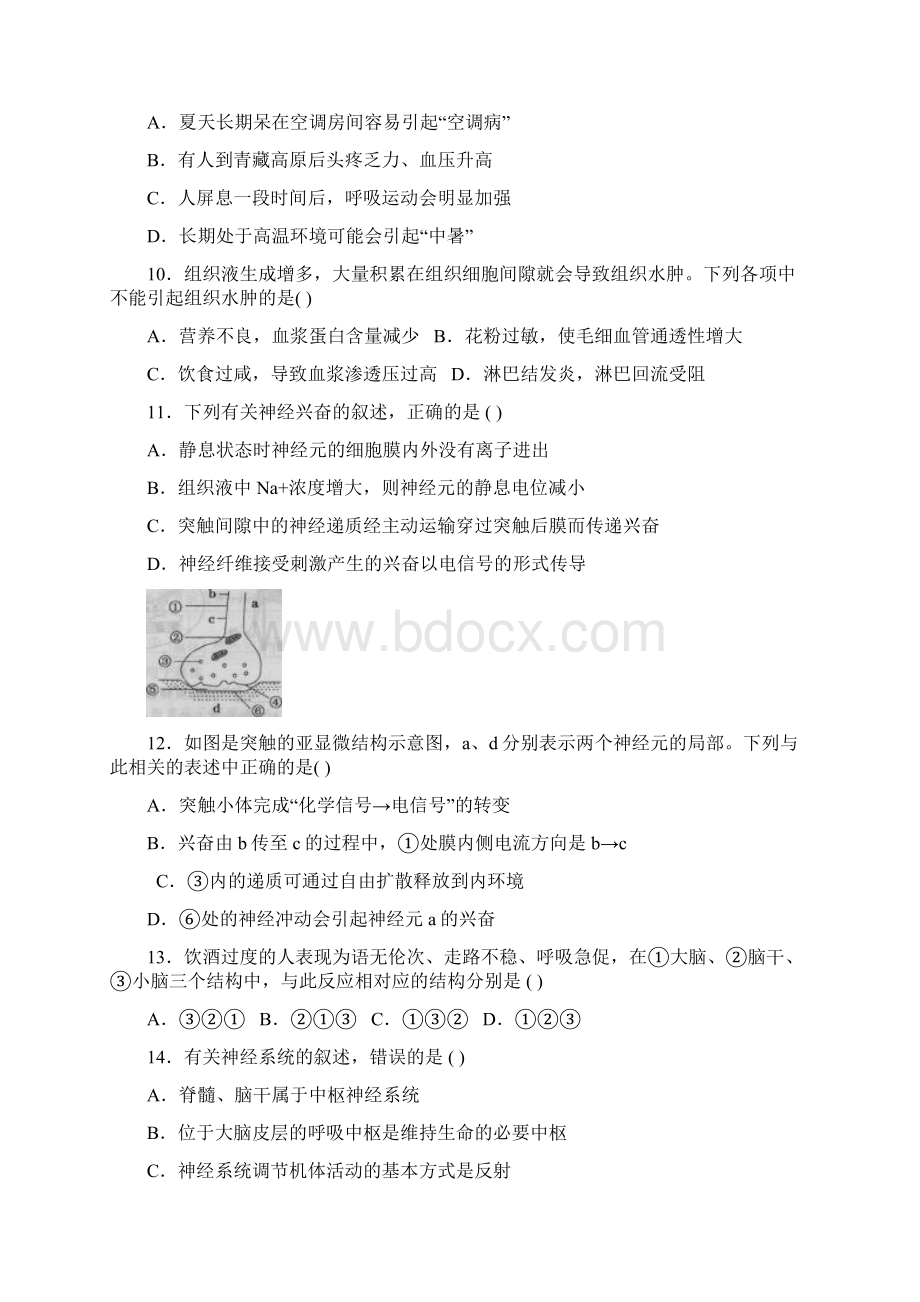 河南省新野县第三高级中学学年高二月考生物试题.docx_第3页