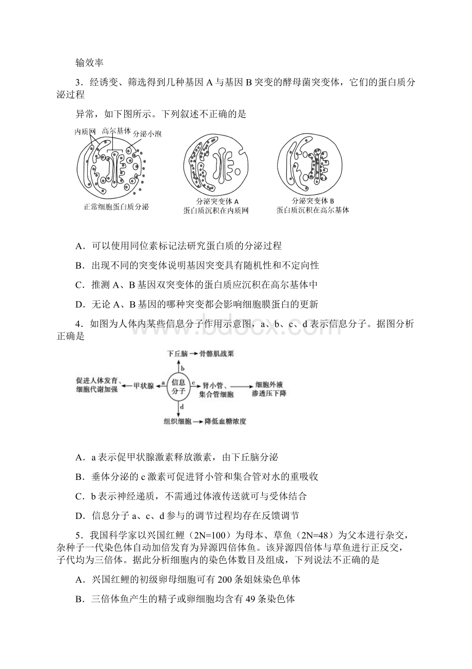 陕西西北工业大学附属中学高三第八次适应性考试理科综合试题 word含答案.docx_第2页