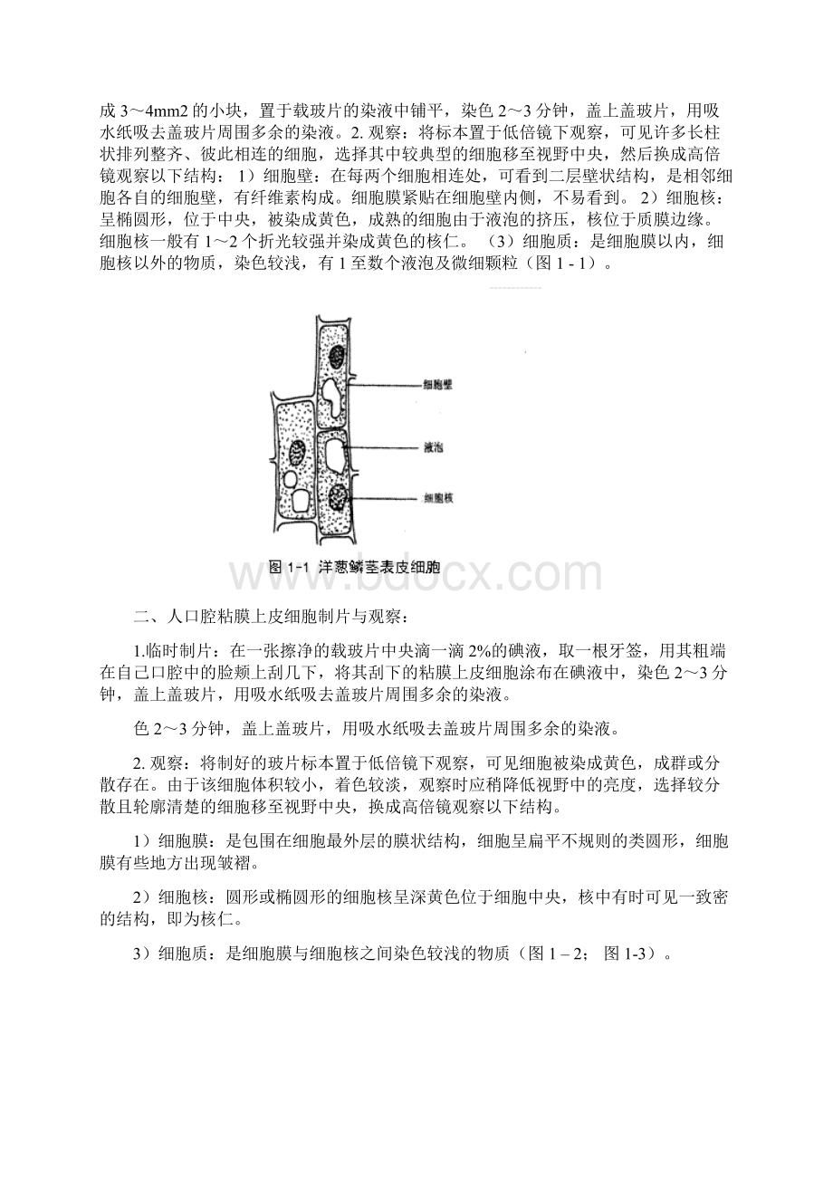 细胞生物学实验指导讲义.docx_第2页