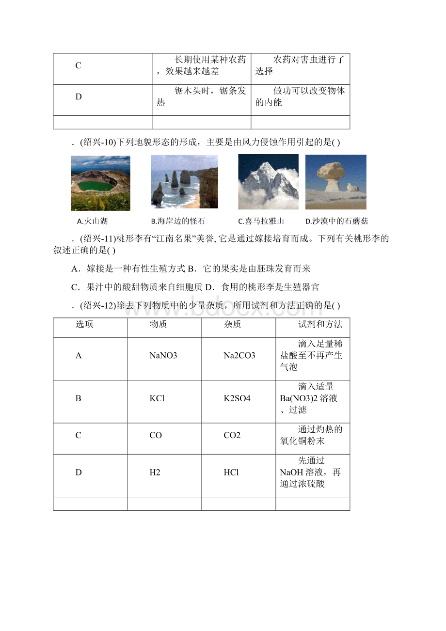 浙江省绍兴市中考科学试题word版含答案.docx_第3页