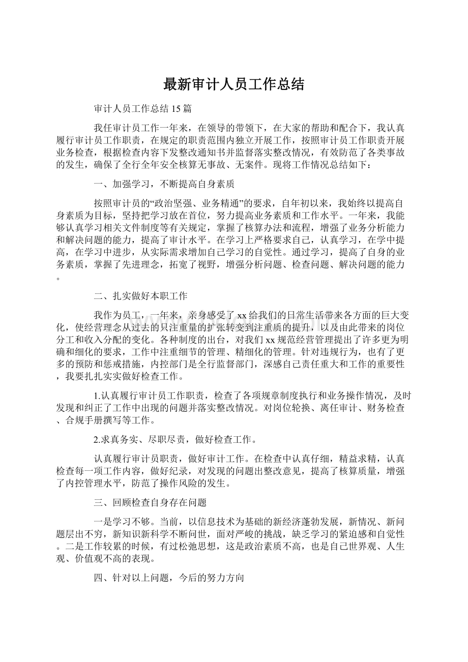 最新审计人员工作总结Word文档格式.docx_第1页