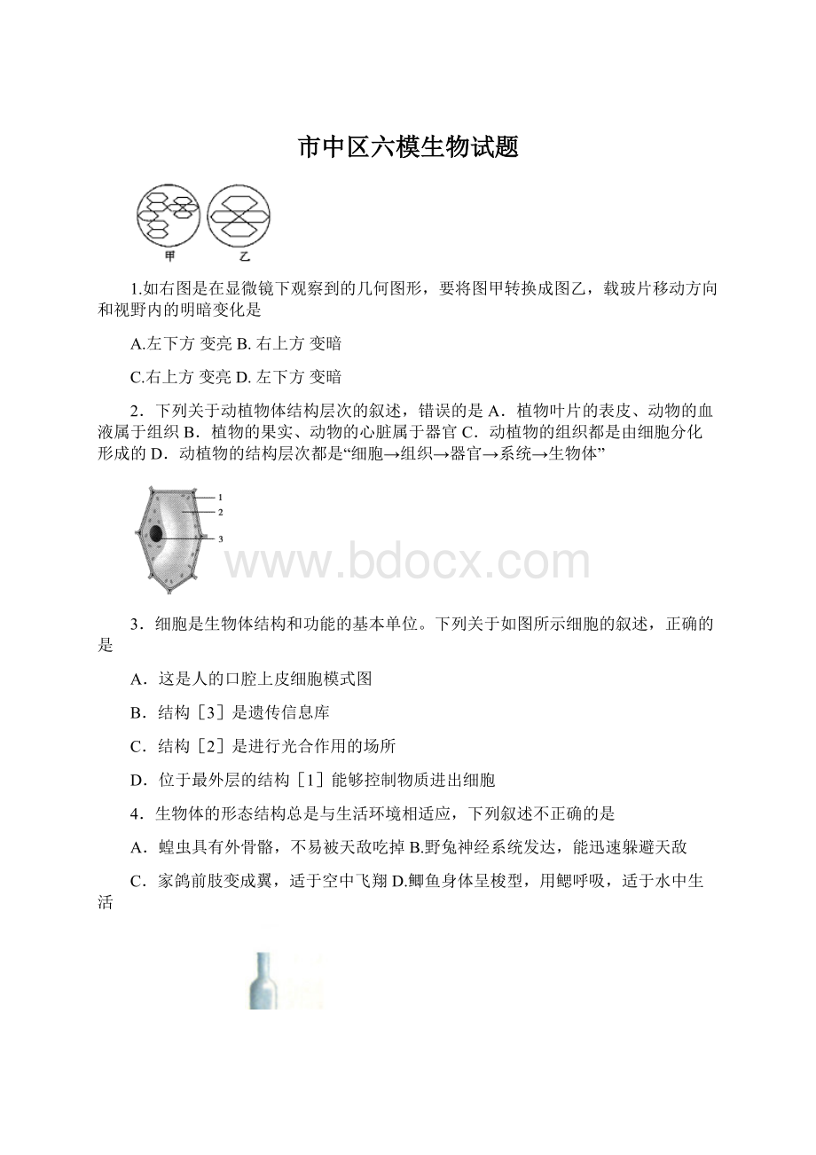 市中区六模生物试题文档格式.docx_第1页