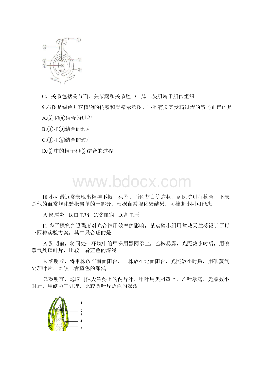 市中区六模生物试题文档格式.docx_第3页