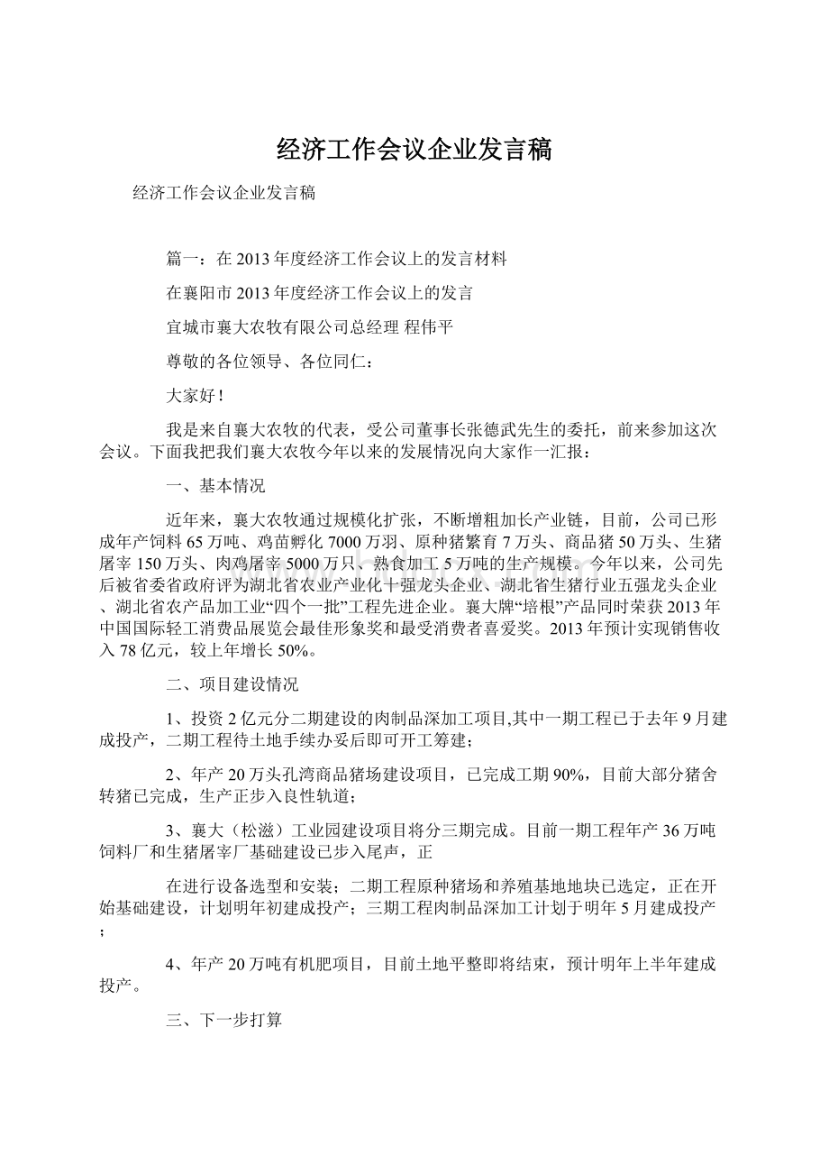 经济工作会议企业发言稿.docx