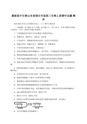 最新高中生物山东省烟台市届高三生物上册期中试题 精品.docx