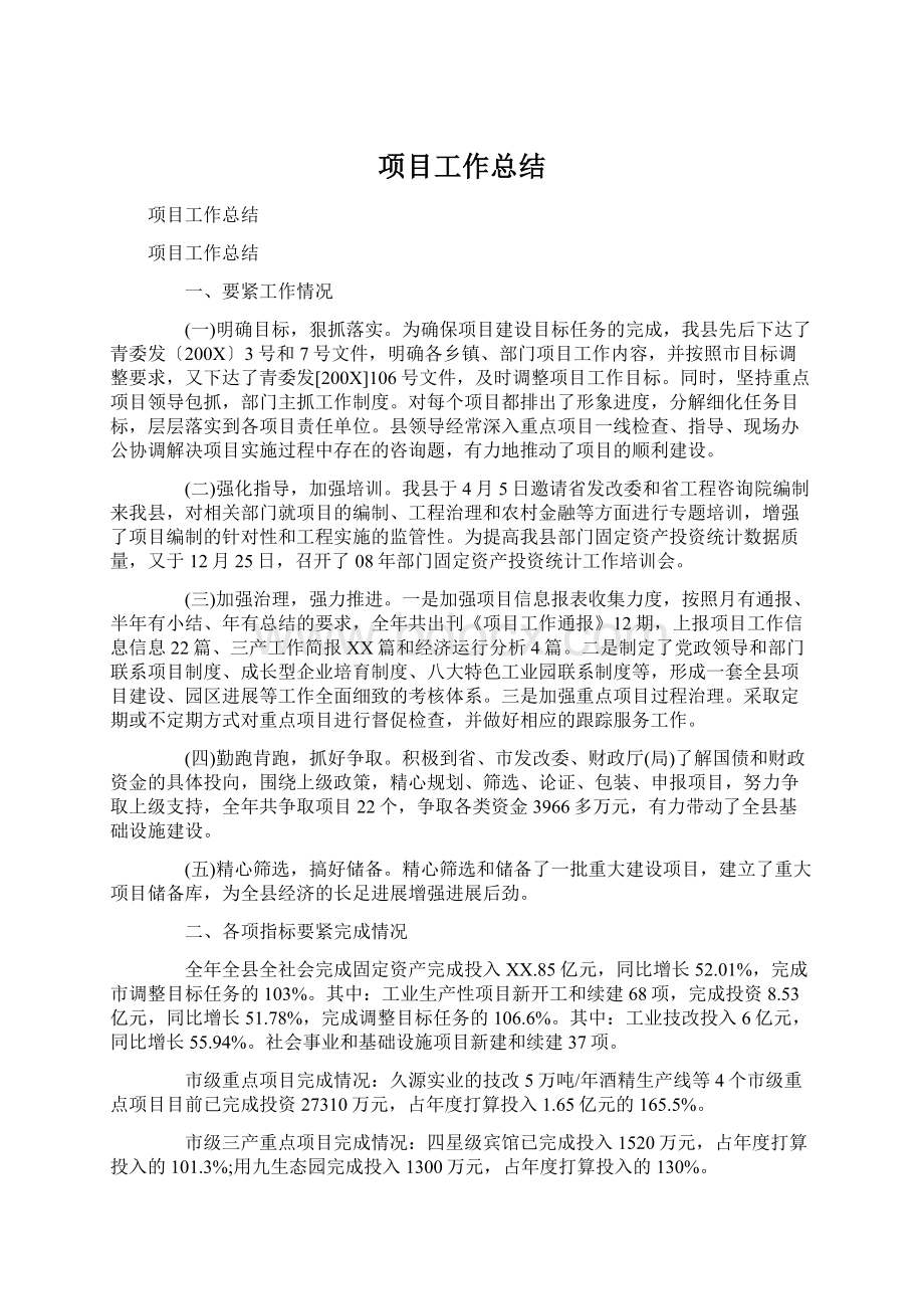 项目工作总结.docx