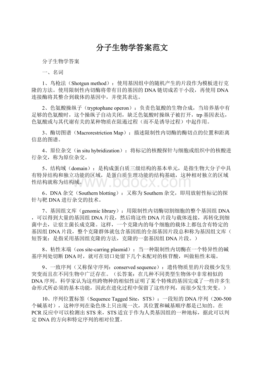 分子生物学答案范文Word下载.docx_第1页