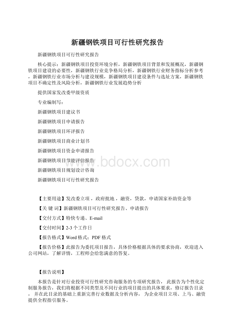 新疆钢铁项目可行性研究报告文档格式.docx