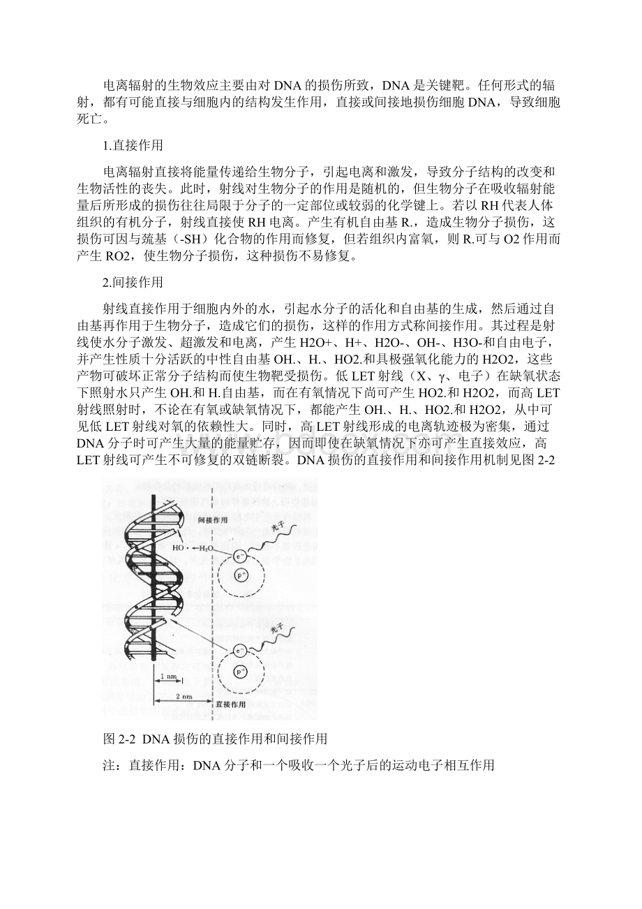 临床放射生物效应放疗.docx_第3页