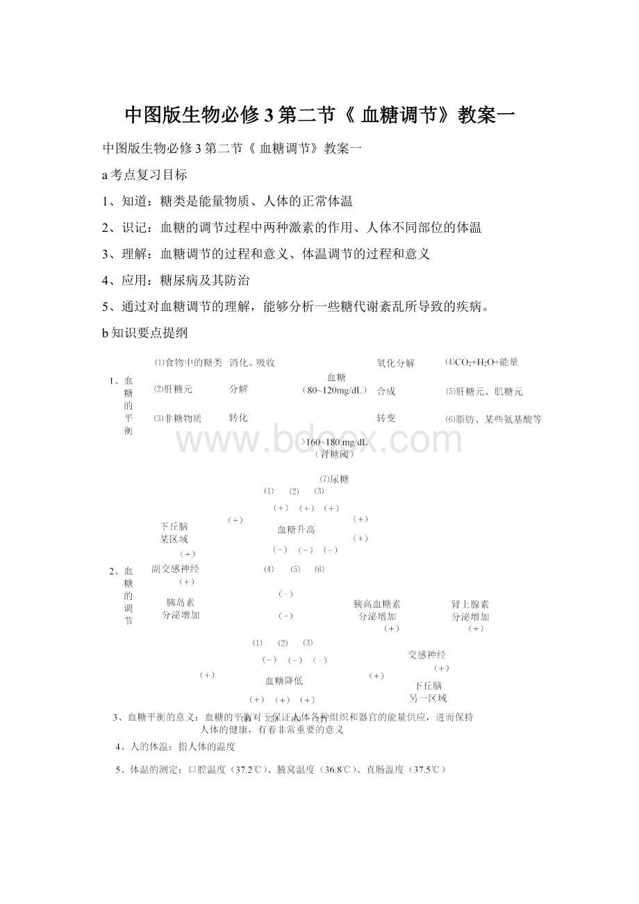 中图版生物必修3第二节《 血糖调节》教案一.docx