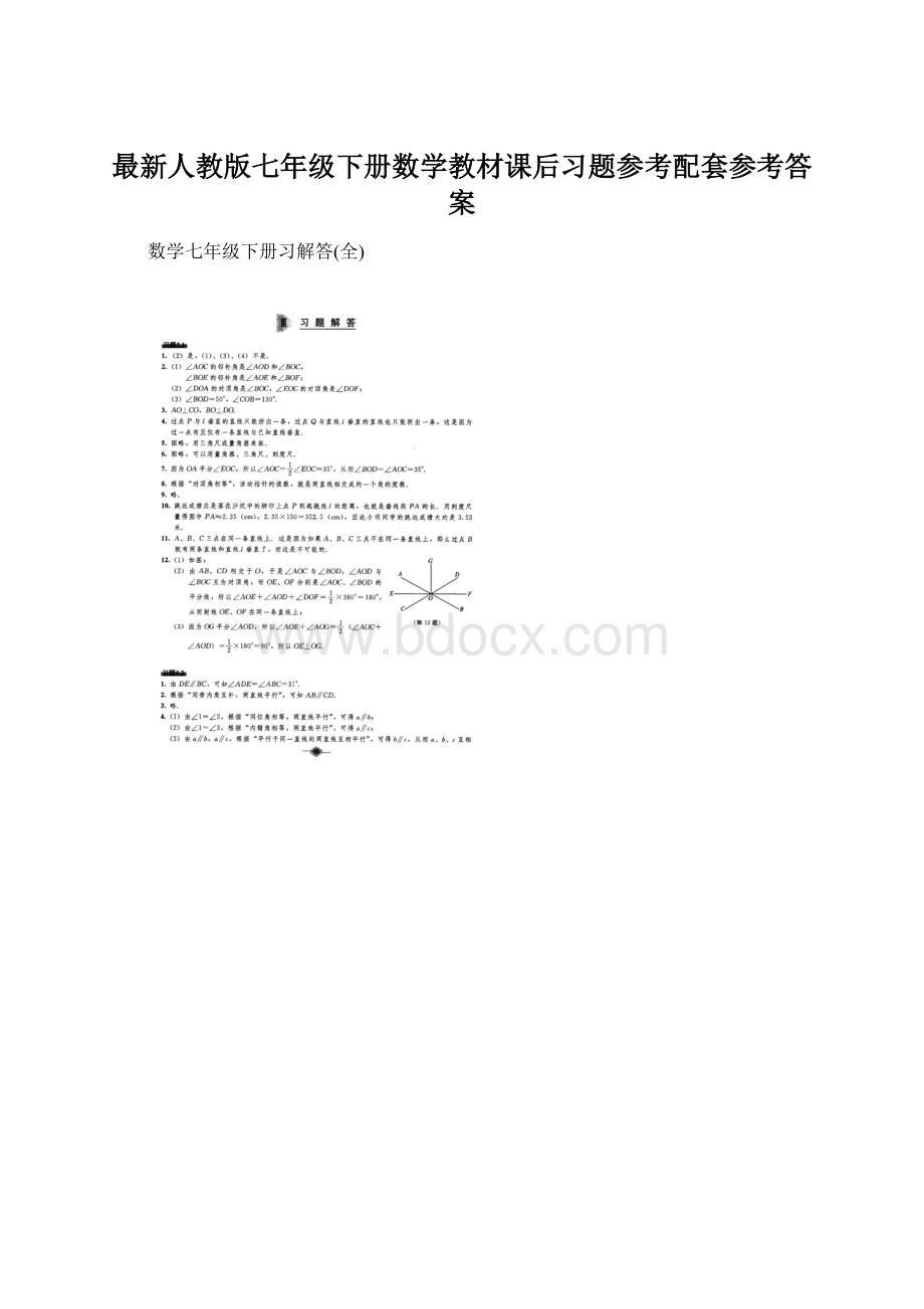 最新人教版七年级下册数学教材课后习题参考配套参考答案.docx