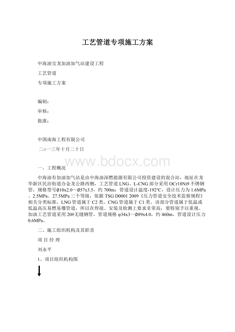 工艺管道专项施工方案文档格式.docx