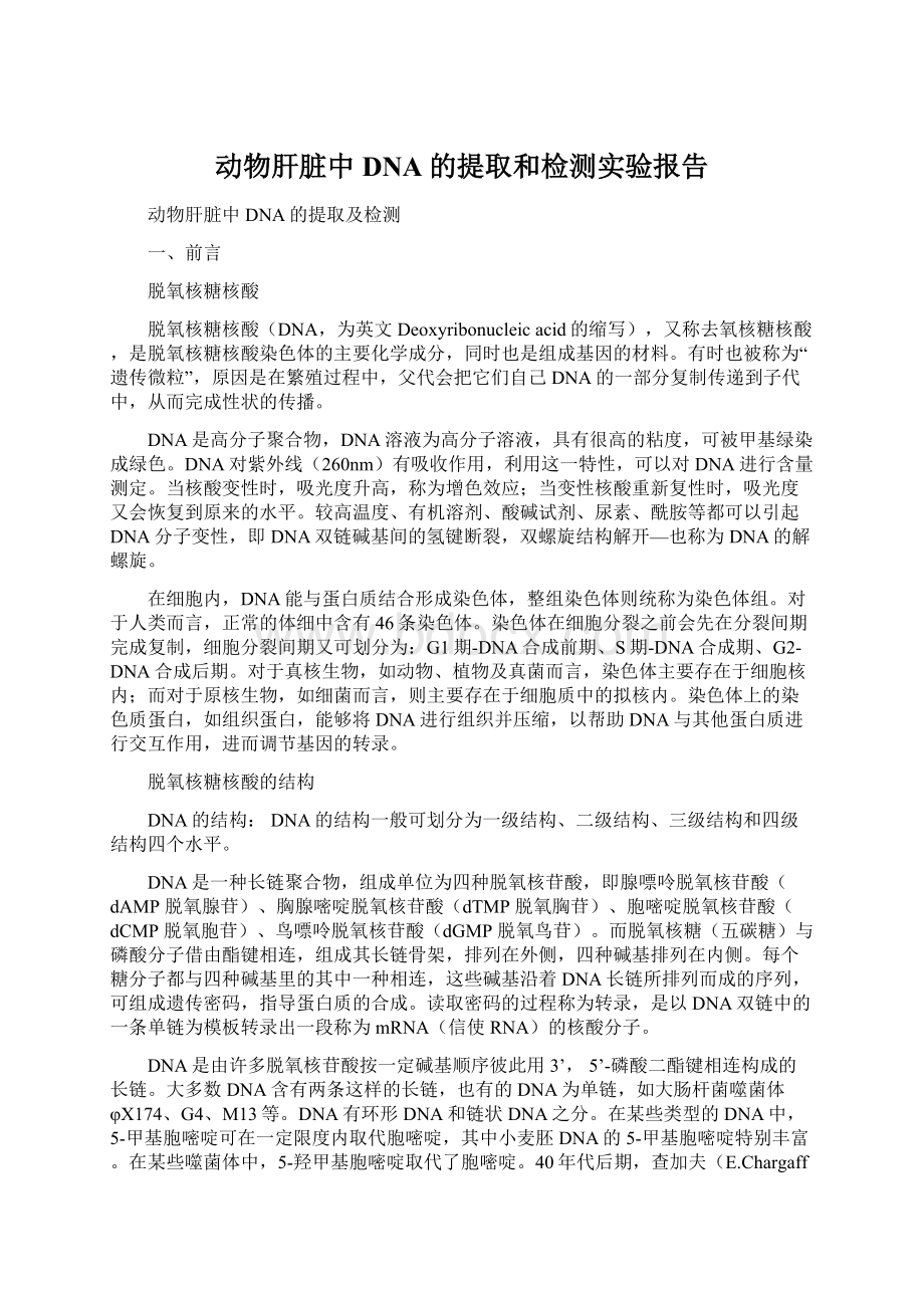 动物肝脏中DNA的提取和检测实验报告.docx_第1页