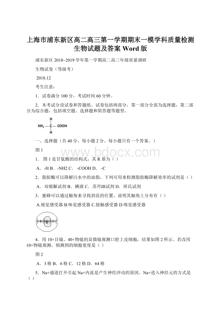 上海市浦东新区高二高三第一学期期末一模学科质量检测生物试题及答案Word版Word文档格式.docx