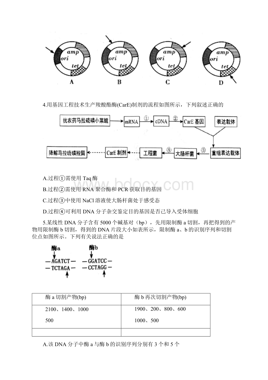 山东省菏泽市学年高二下学期期中考试生物试题B版含答案Word格式文档下载.docx_第2页