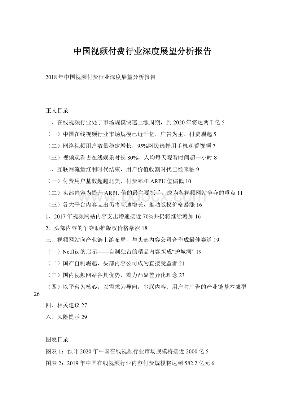 中国视频付费行业深度展望分析报告.docx_第1页