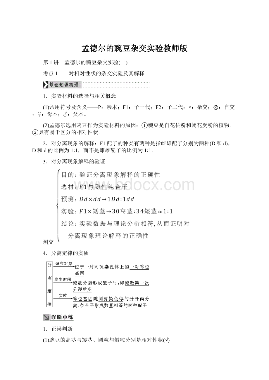 孟德尔的豌豆杂交实验教师版Word格式.docx_第1页