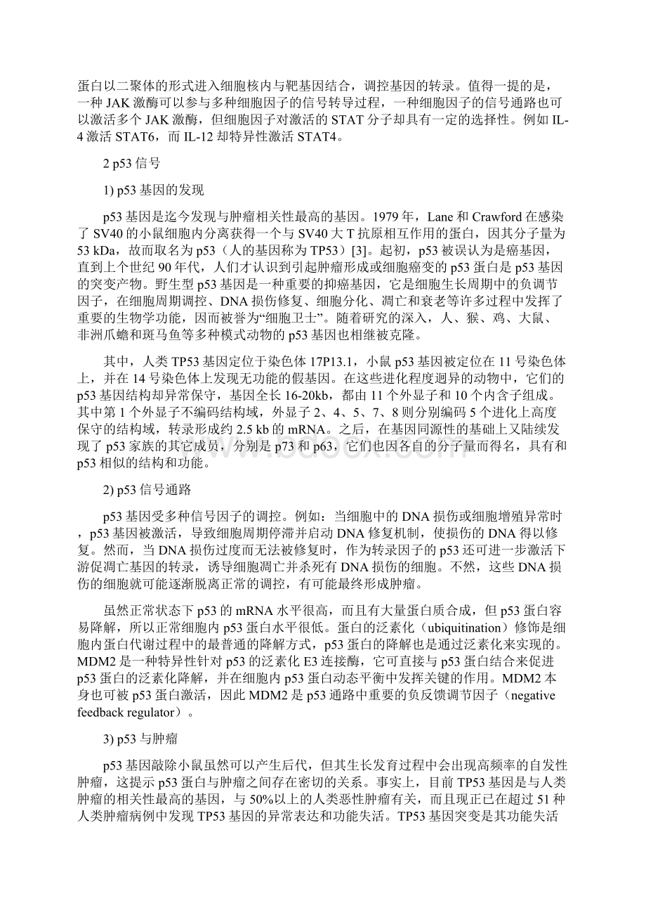 常见的信号通路.docx_第2页