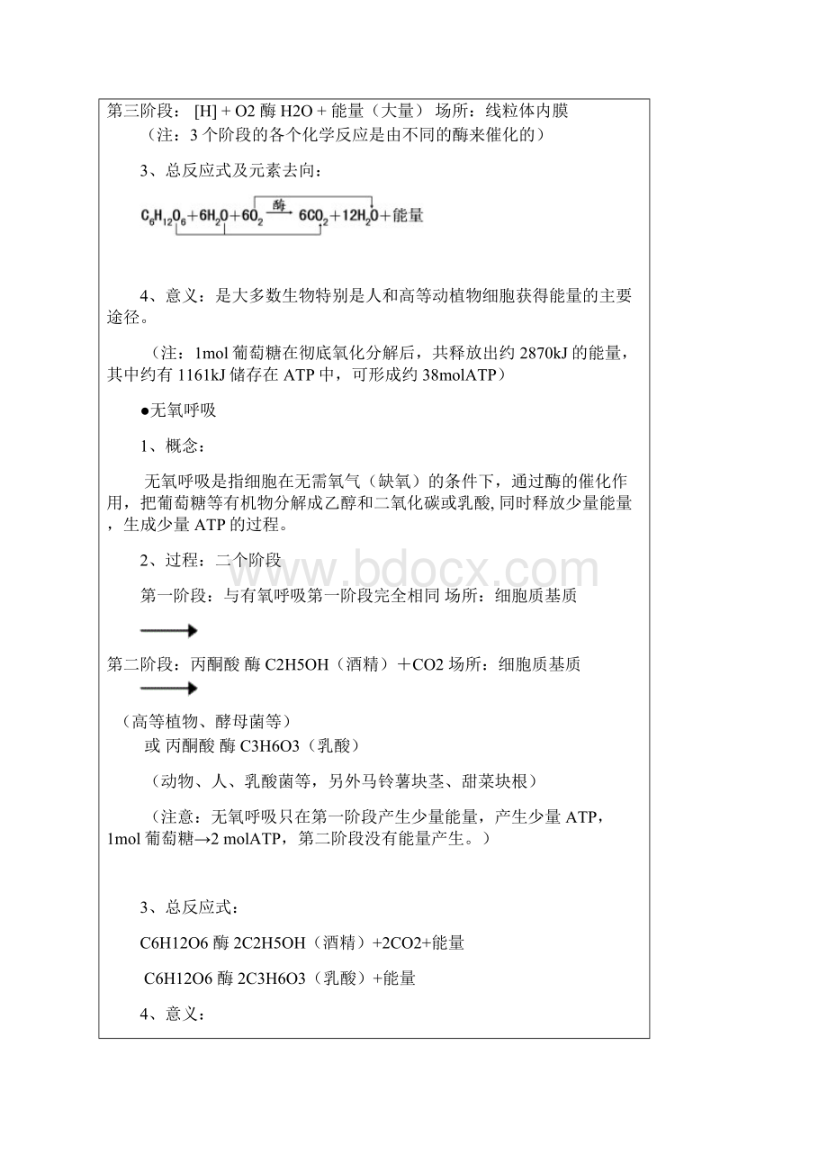 人教版生物必修一呼吸作用的知识点与经典例题以及详答Word格式.docx_第2页