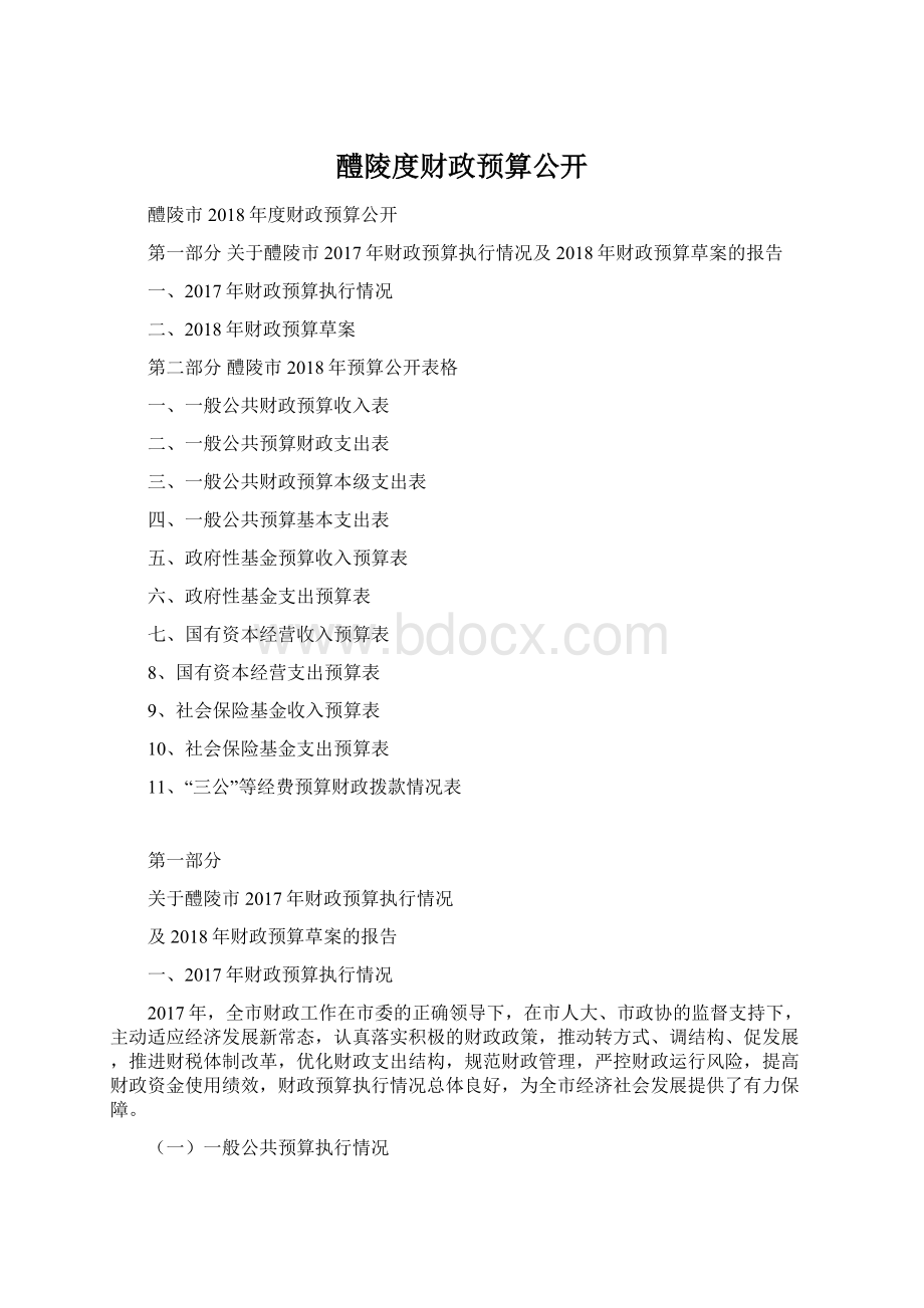 醴陵度财政预算公开Word格式文档下载.docx