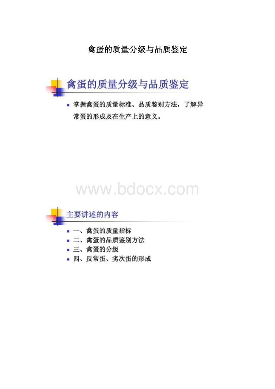 禽蛋的质量分级与品质鉴定文档格式.docx