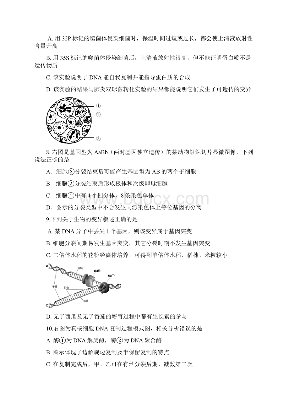 生物复习周练27Word格式文档下载.docx_第3页