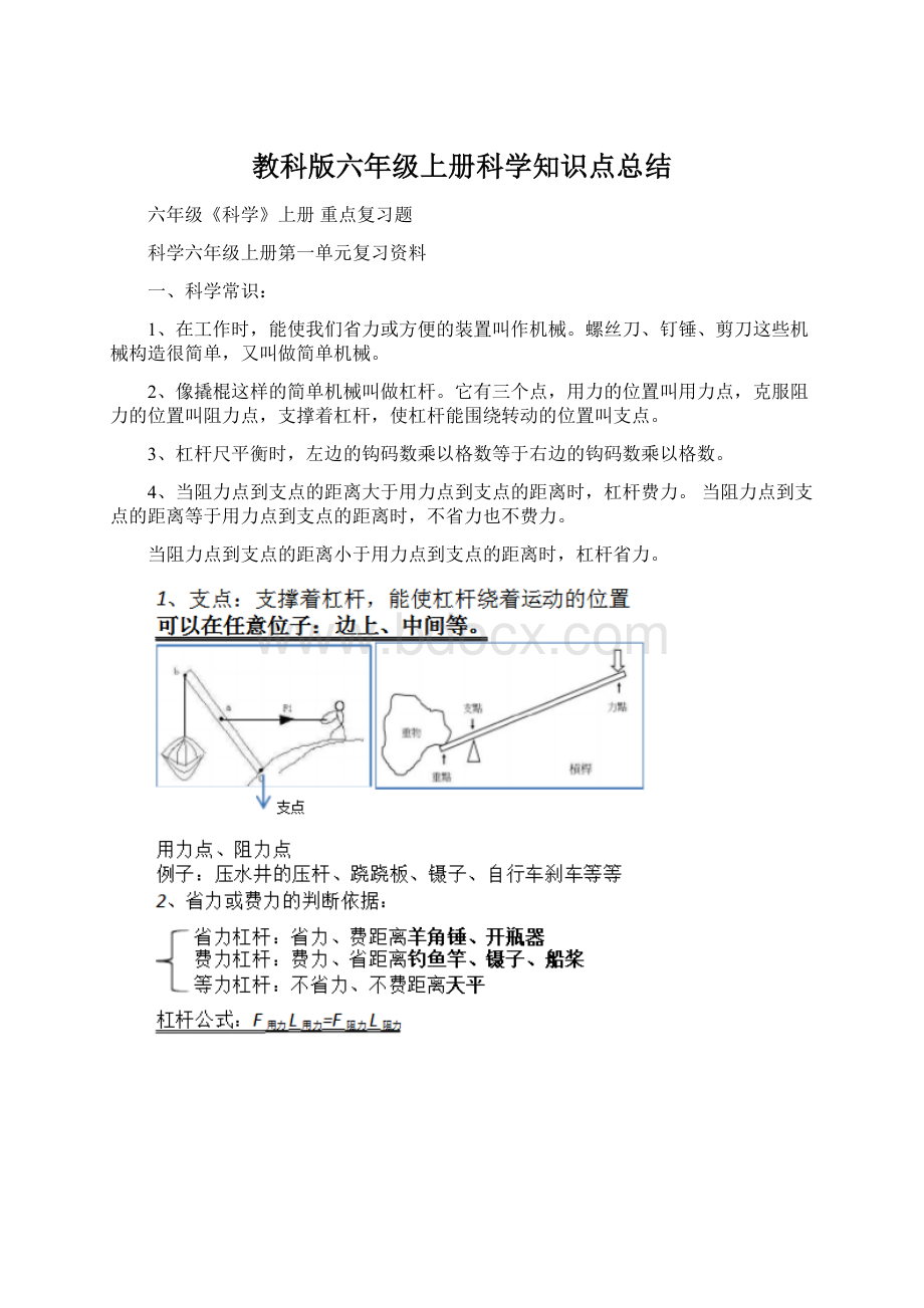 教科版六年级上册科学知识点总结Word下载.docx