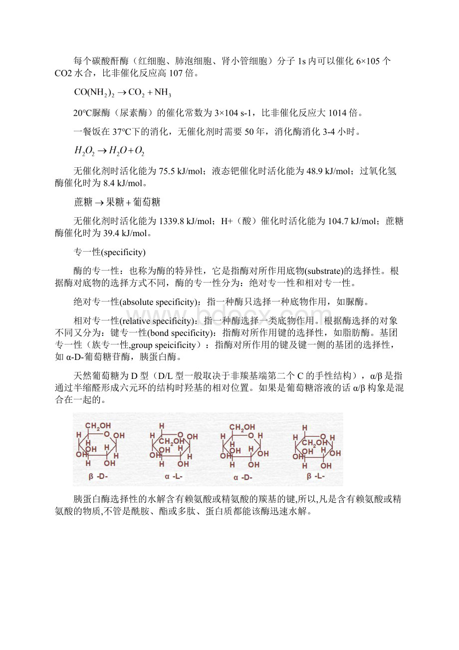 酶工程电子教案.docx_第2页