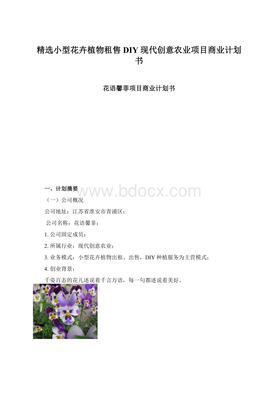 精选小型花卉植物租售DIY现代创意农业项目商业计划书.docx_第1页