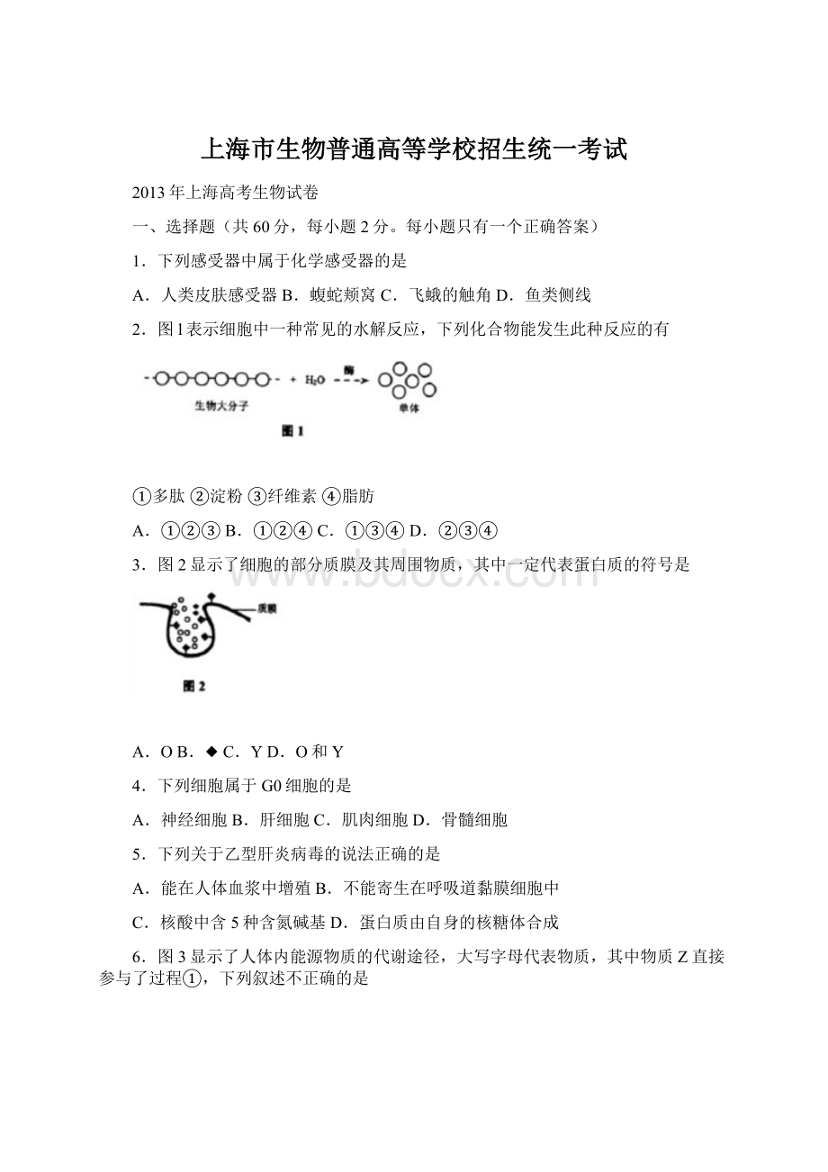 上海市生物普通高等学校招生统一考试.docx_第1页