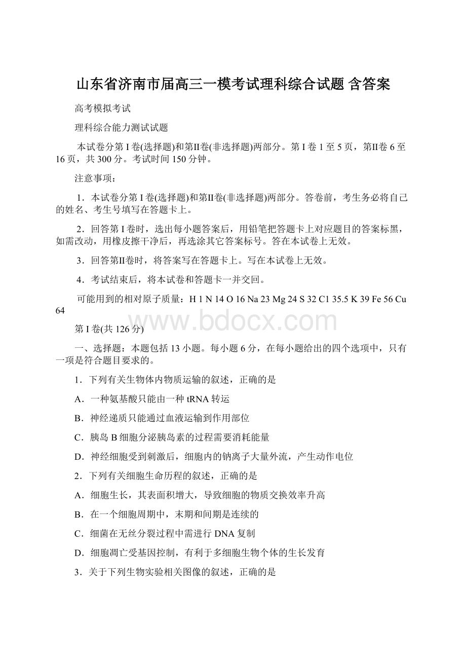 山东省济南市届高三一模考试理科综合试题 含答案Word文档下载推荐.docx