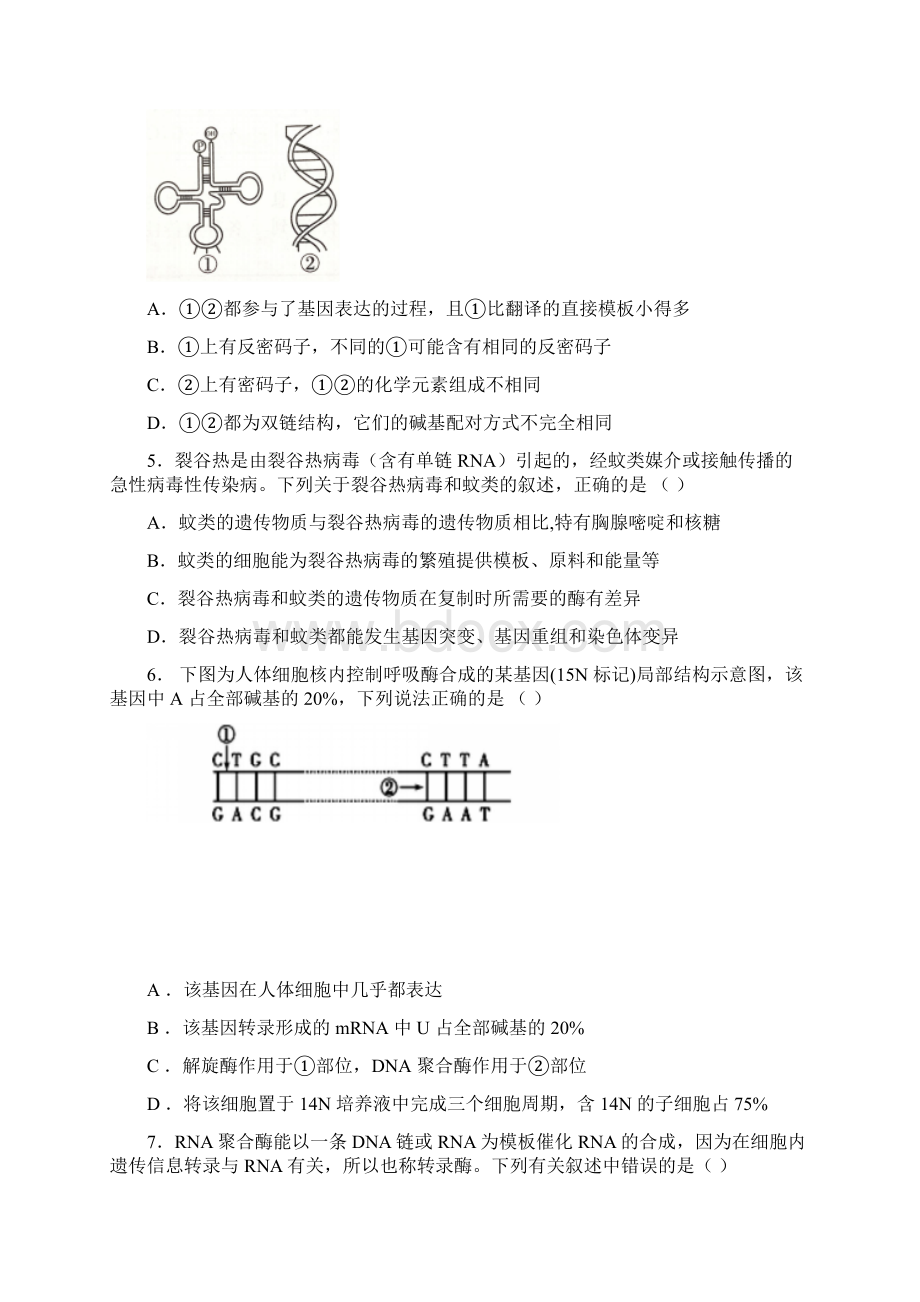 届辽宁师大附中高三上学期期中考试 生物Word下载.docx_第2页