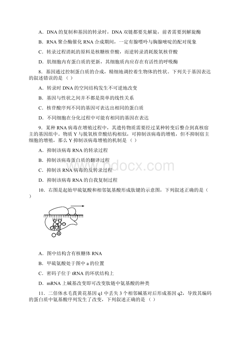 届辽宁师大附中高三上学期期中考试 生物Word下载.docx_第3页