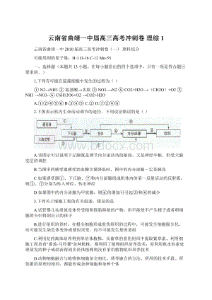 云南省曲靖一中届高三高考冲刺卷理综1.docx