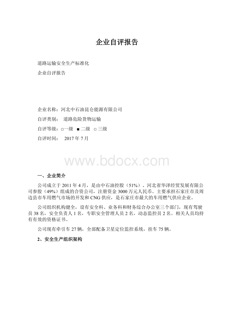 企业自评报告Word文档下载推荐.docx