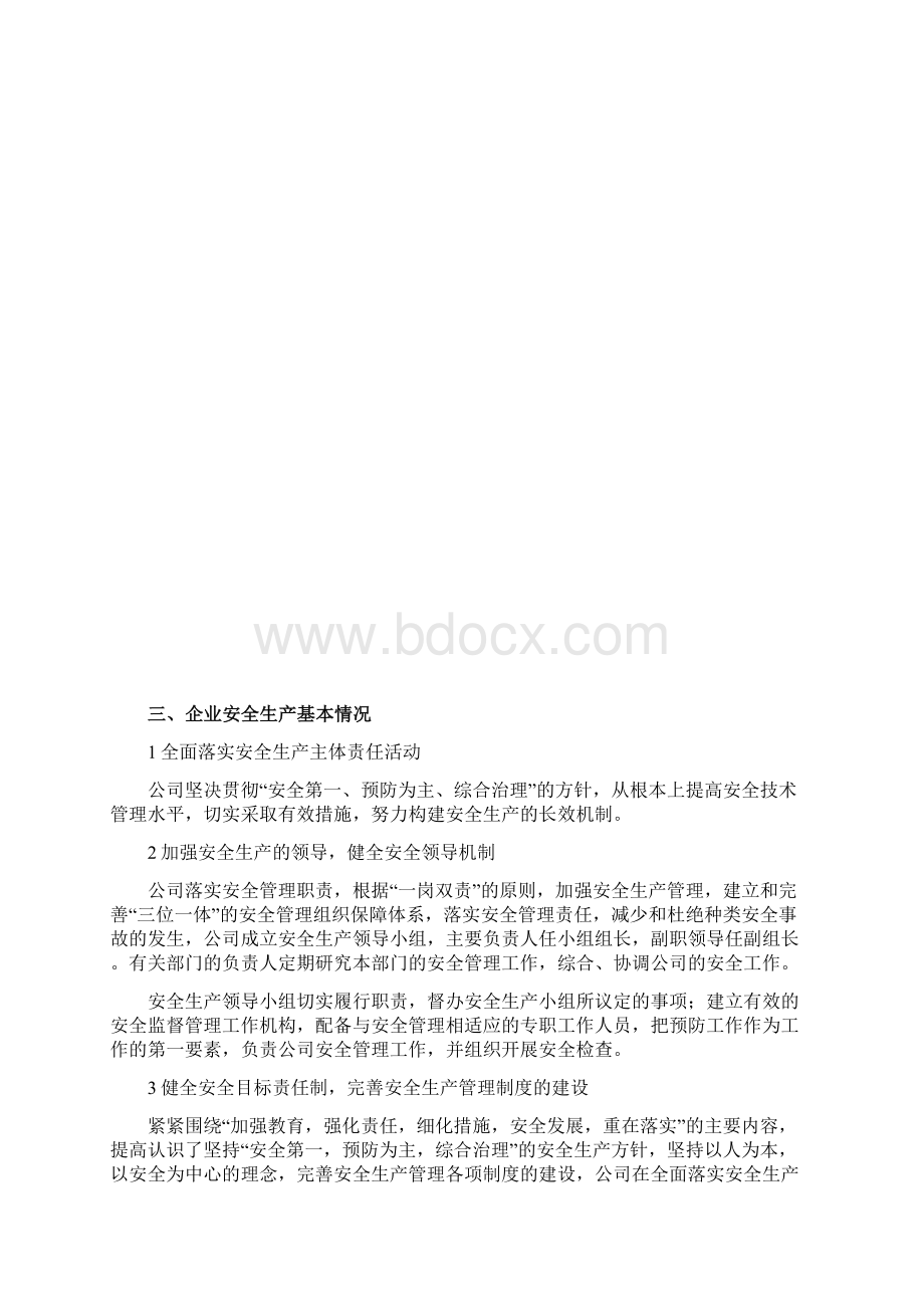 企业自评报告.docx_第2页