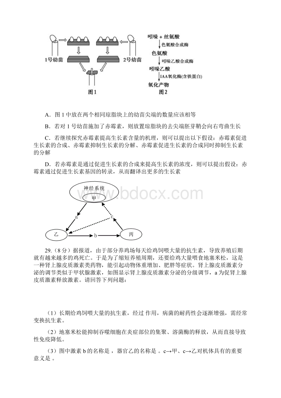 湖北省届八校联考第二卷理综生物.docx_第3页