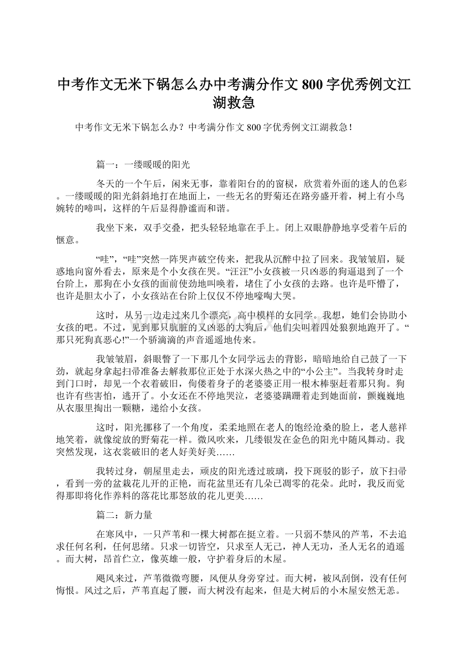 中考作文无米下锅怎么办中考满分作文800字优秀例文江湖救急.docx