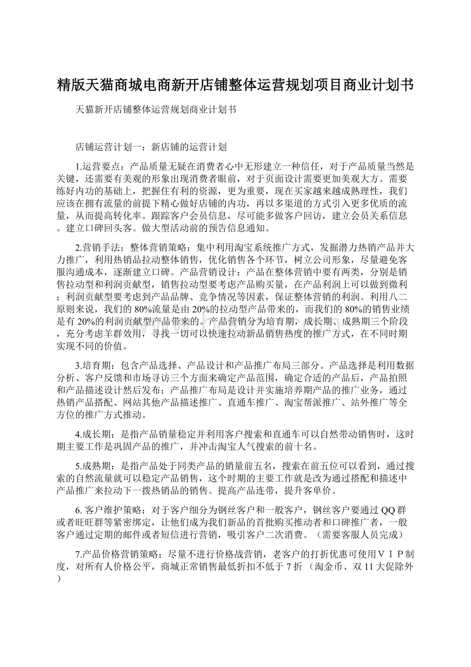 精版天猫商城电商新开店铺整体运营规划项目商业计划书.docx_第1页