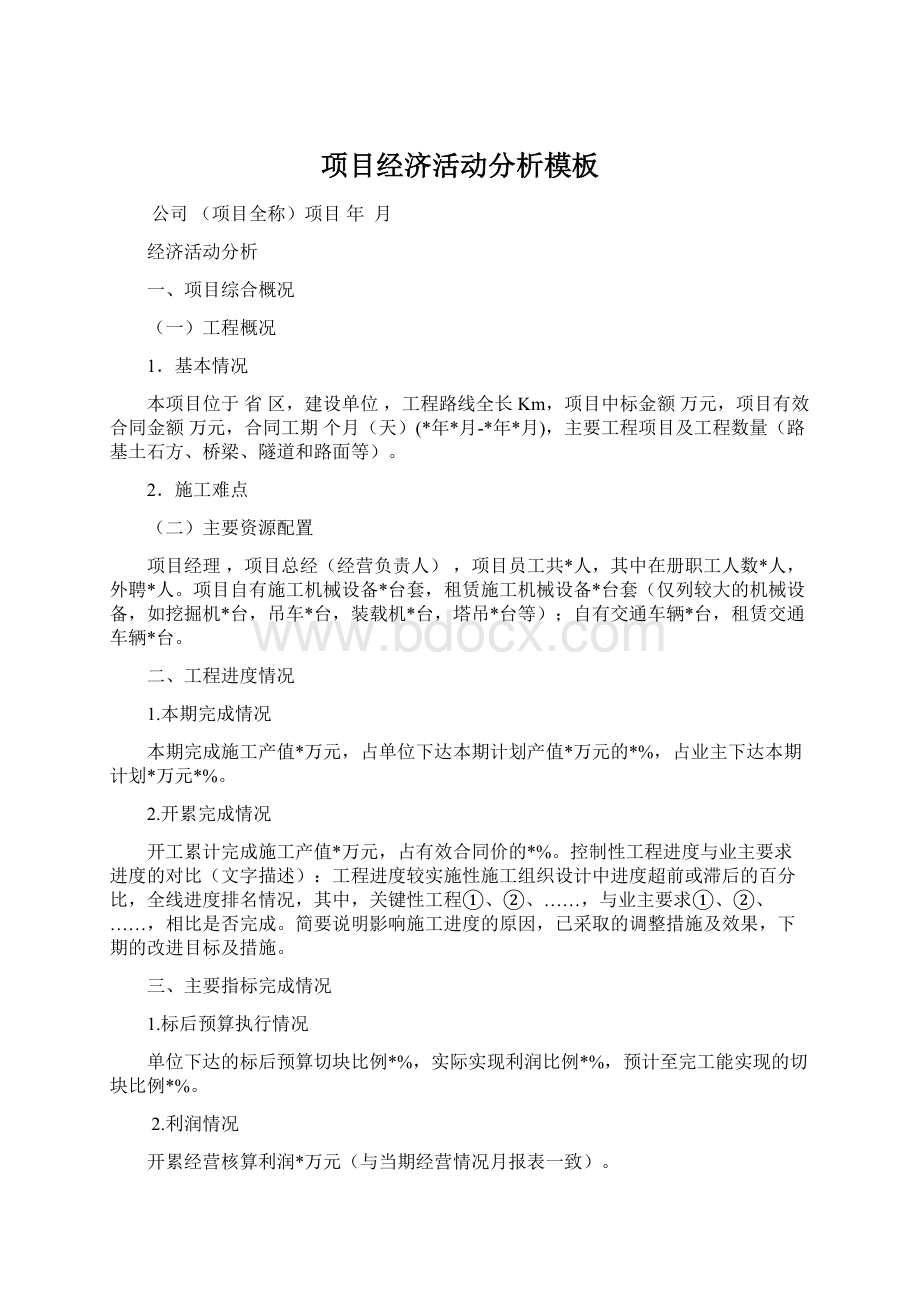 项目经济活动分析模板Word文档格式.docx