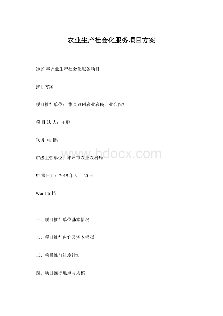 农业生产社会化服务项目方案Word格式文档下载.docx