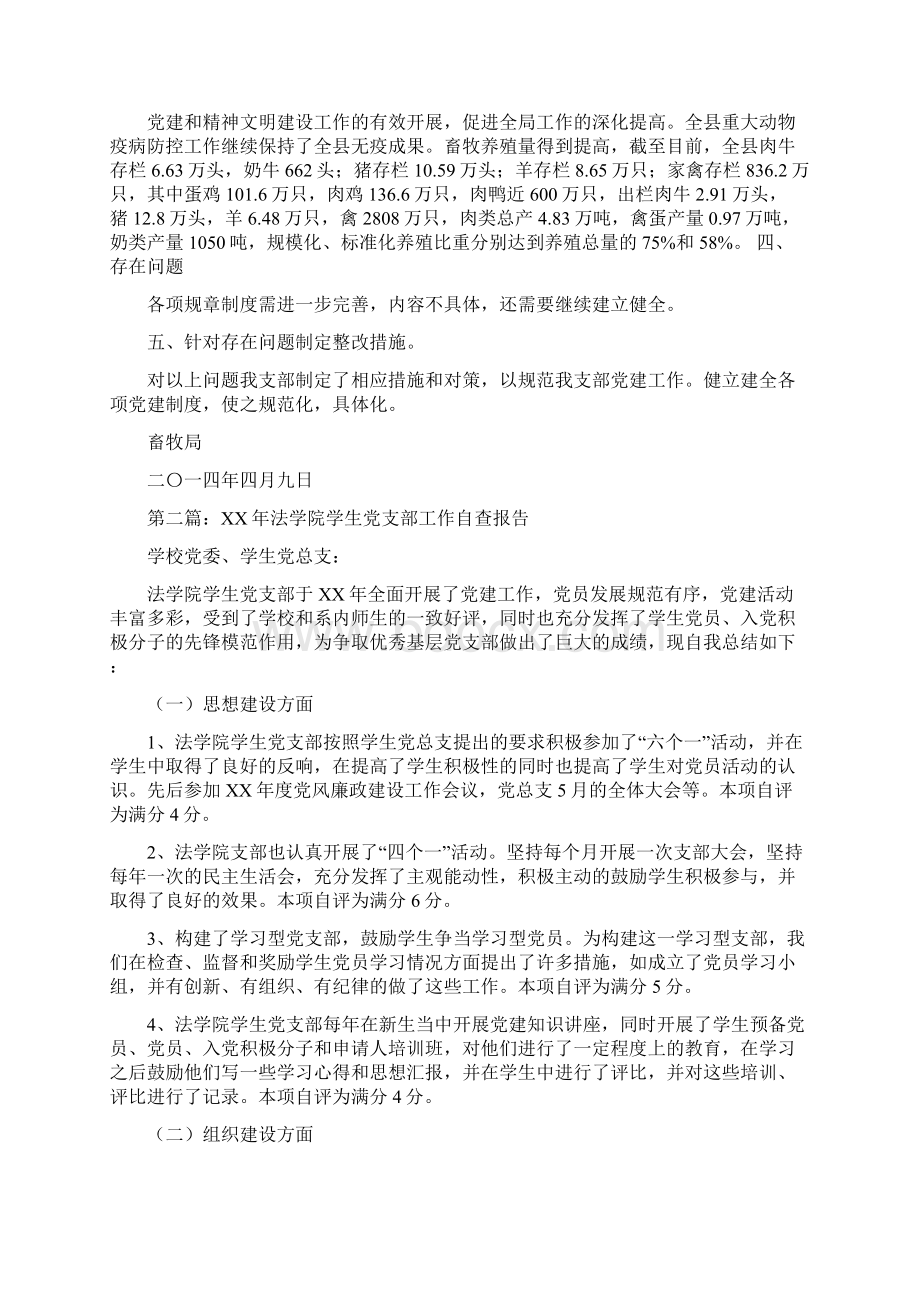 党支部工作自查报告精选多篇.docx_第2页